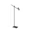 Z-Lite Calumet 1 Light Floor Lamp, Matte Black + Polished Nickel & Polished Nickel 814FL-MB-PN - alternate 7